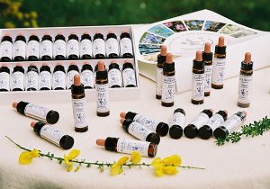 THERAPLUS arche medica