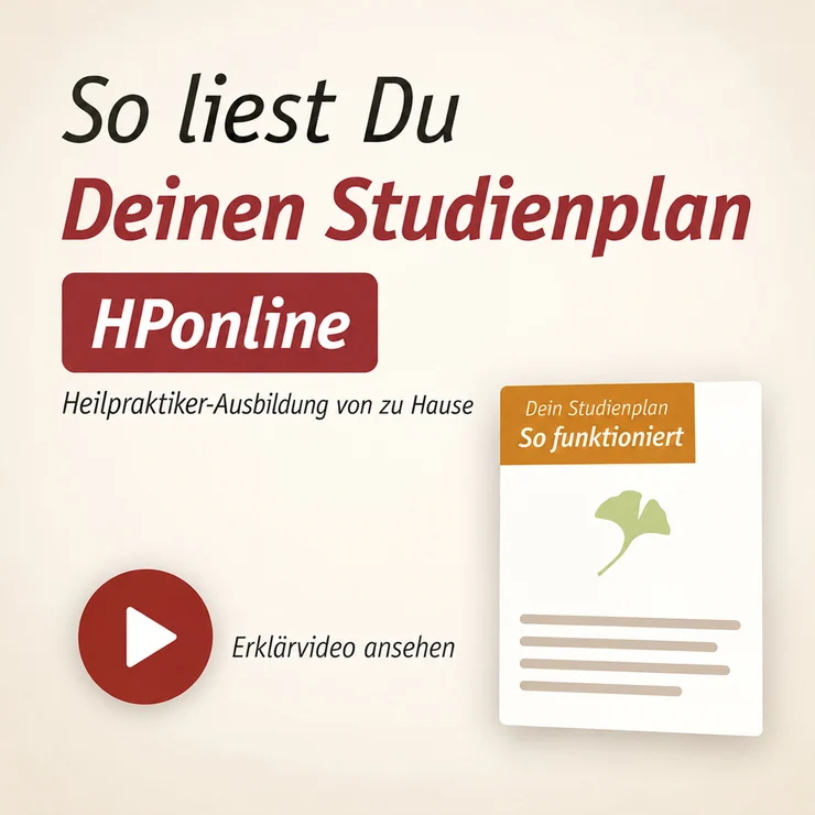 Video ansehen: Erklärfilm: So liest Du den Studienplan HPonline